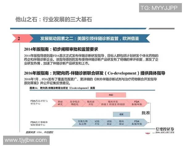 杭州足球队运营揭秘:从管理到战术的全景分析与深度探讨 杭州足球队运营揭秘:从管理到战术的全景分析与深度探讨